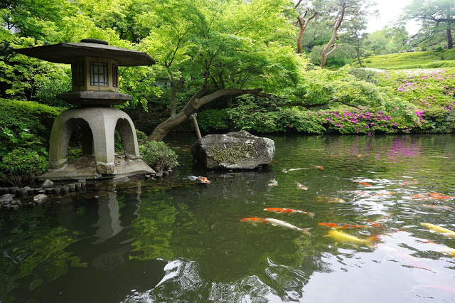 【日本】FREE ！FREE ！FREE ！东京景点、免费夜景大公开！