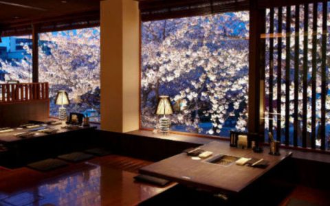 【京都】一边吃饭一遍赏樱！东山～四条河原町区域3家绝美景致餐厅推荐