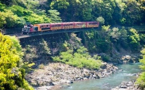 【京都】搭乘嵯峨野Torokko观光列车GO！穿驶新绿盎然的隧道绝佳景色